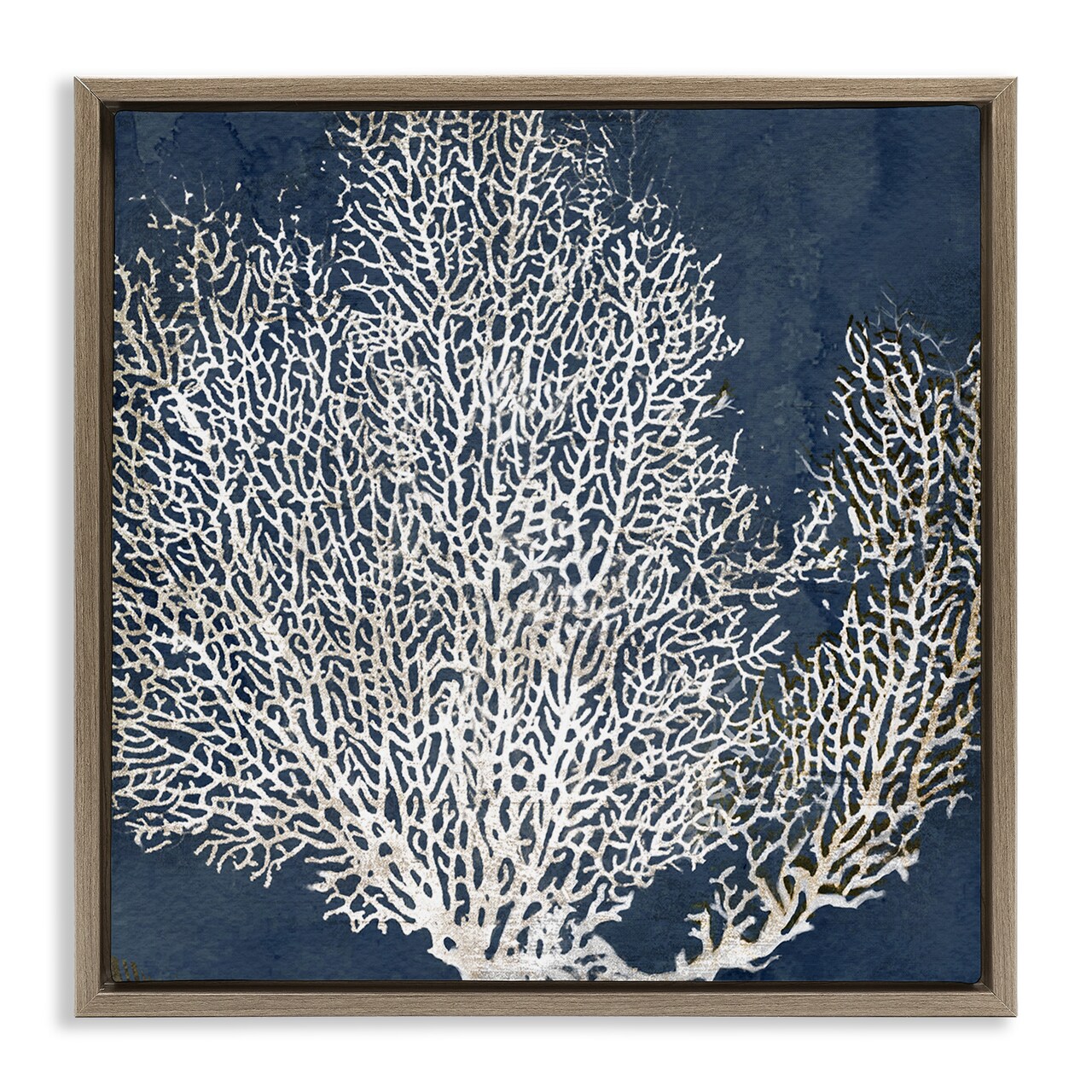 Stupell Industries Sea Coral Ocean Life Silhouette Framed Floater Canvas Wall Art